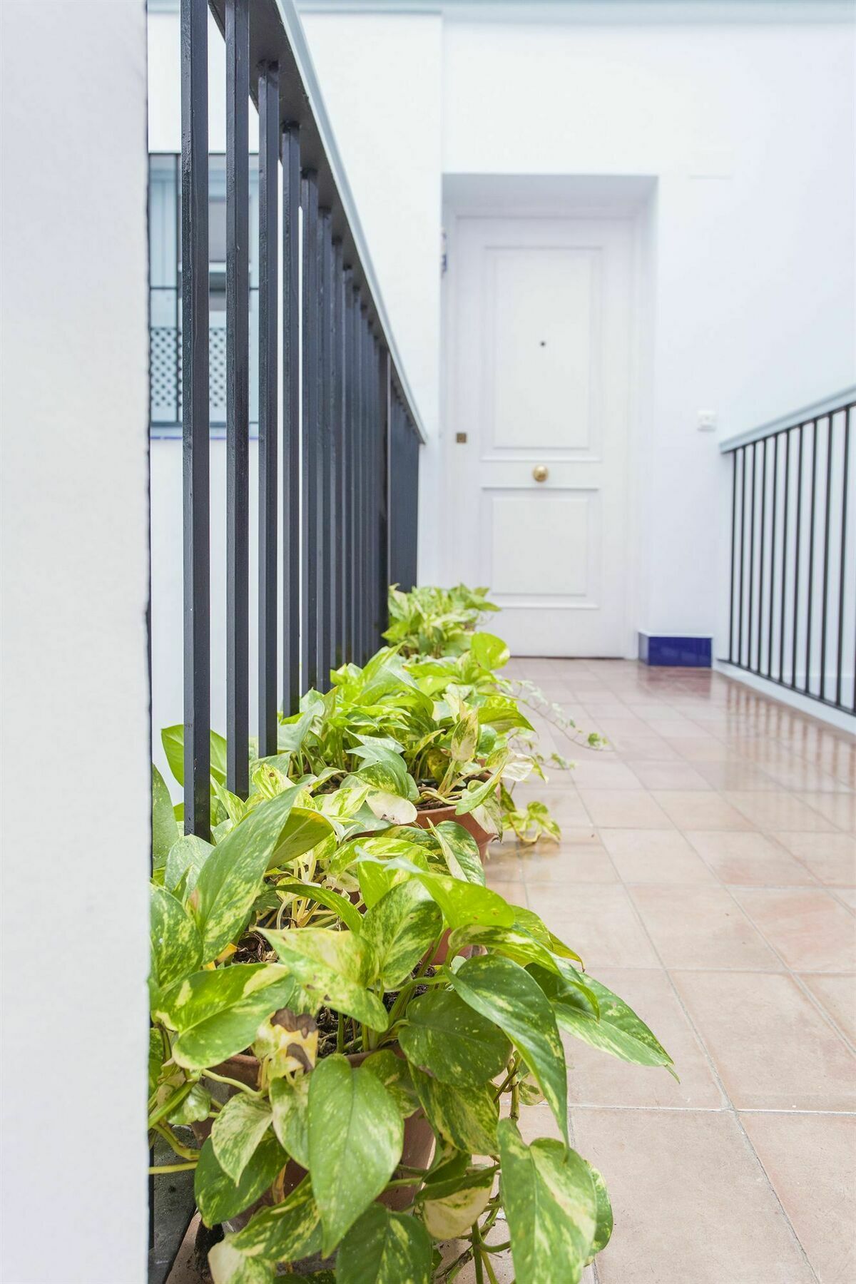 Santa Cruz Apartment Sevilla Buitenkant foto
